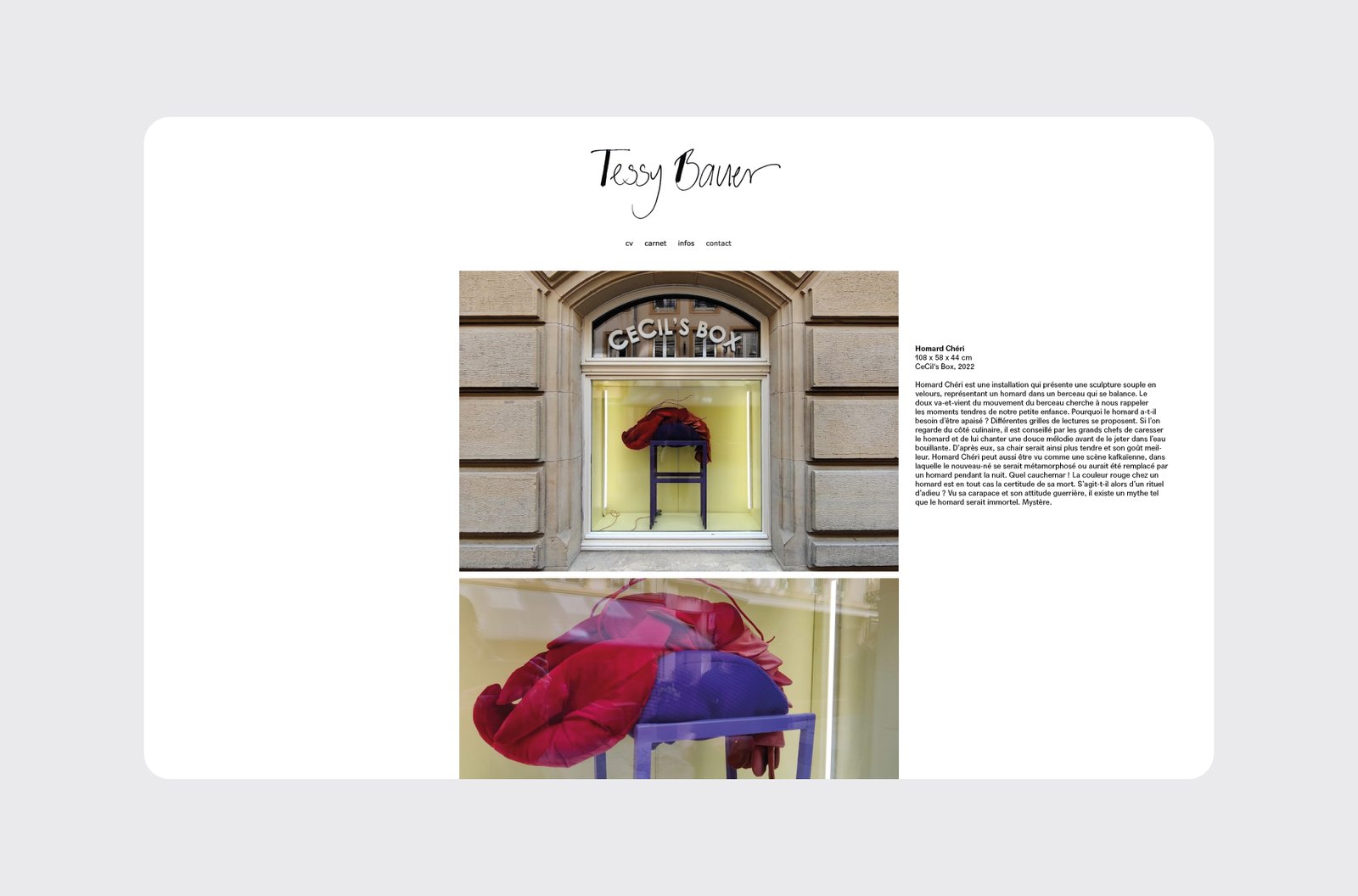 Tessy_bauer_page_projet